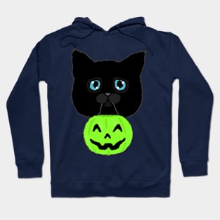 Treats for Kitty? (Green) Hoodie